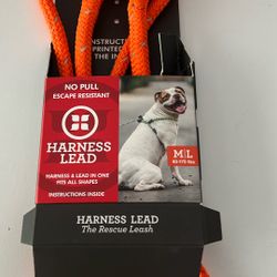 Dog Harness Lead