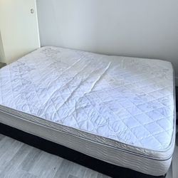 Queen Size Mistress And Frame 