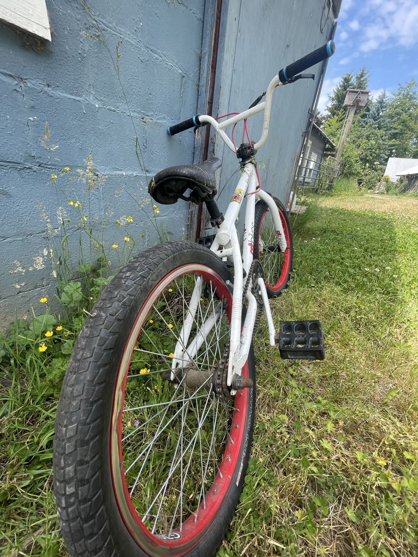 GT Bmx Bike