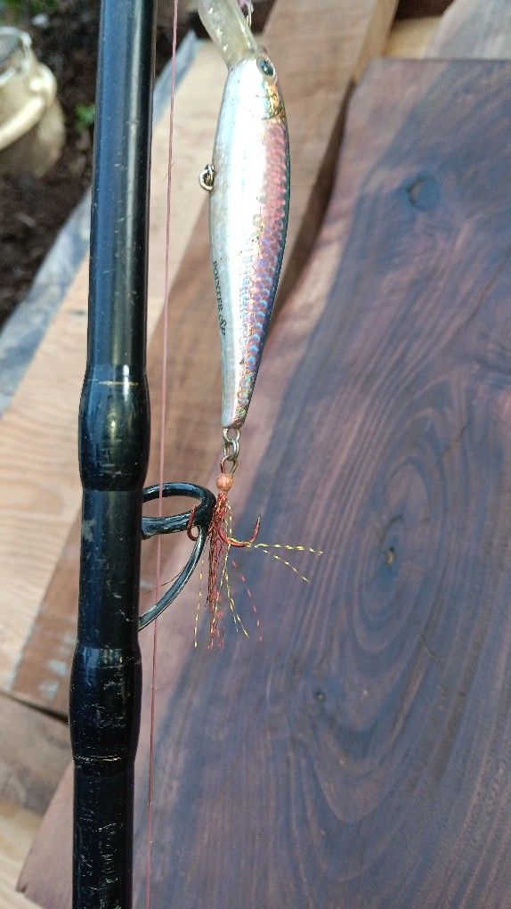 Daiwa Proteus 76 HF Saltwater Rod