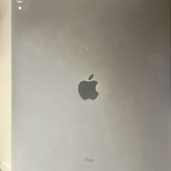 iPad Pro 