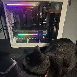 13700k 3070 Fractal Torrent Gaming Pc