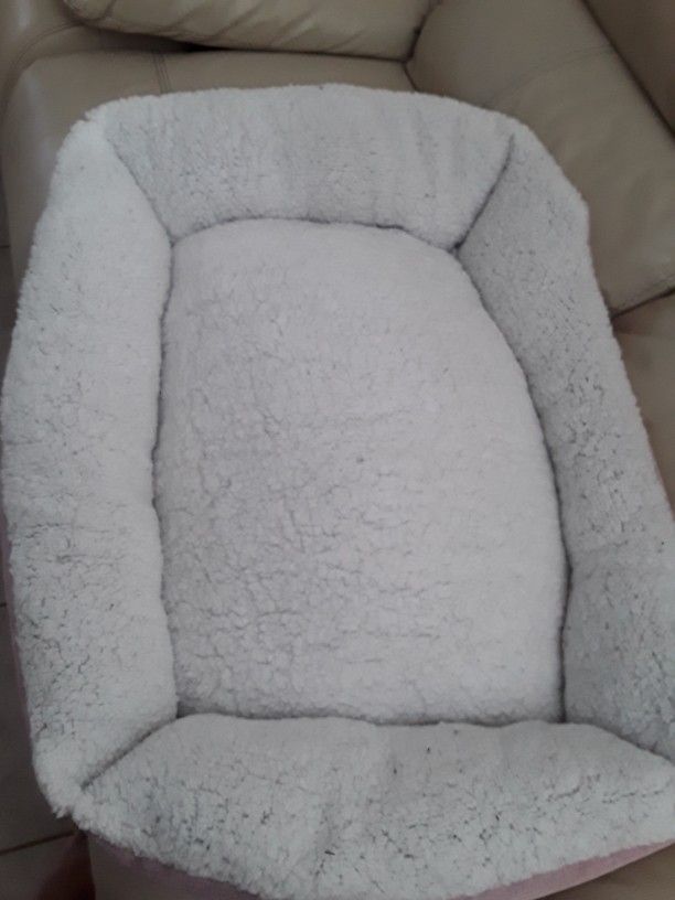 Dog Bed, Used
