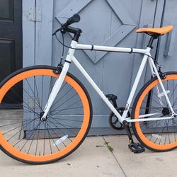 59cm.       FIXIE.         Golden 