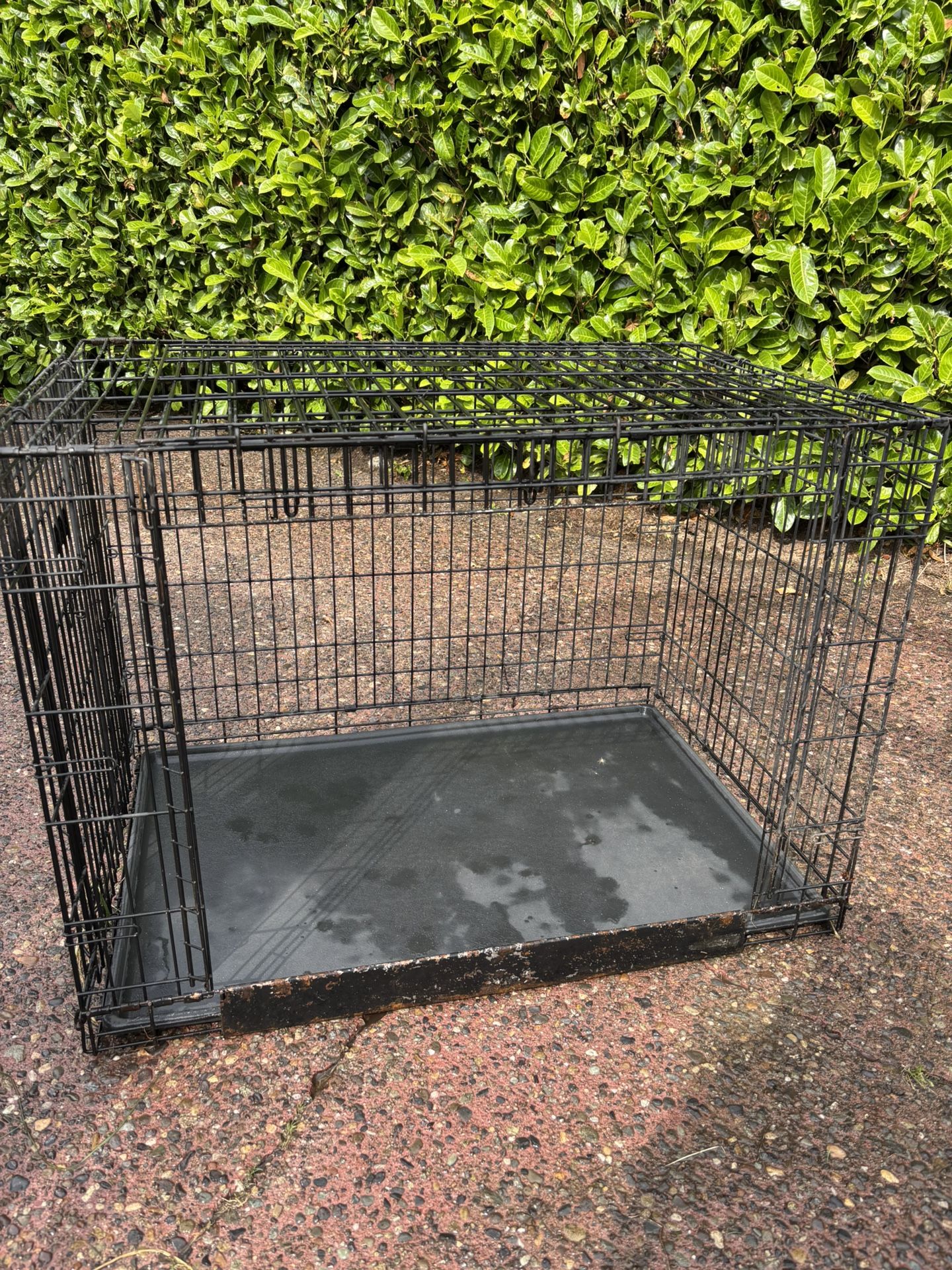 Kong XL Dog Crate