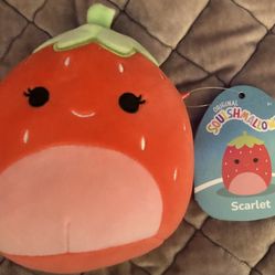 Strawberry Squishmellow