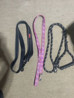 Dog Leashes