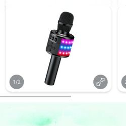 Karaoke Mic