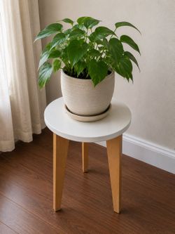 Plant stand stool end table coffee table sofa table