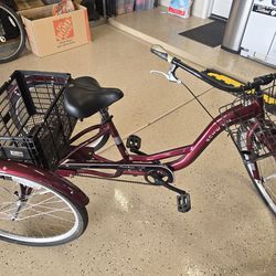 Schwinn Meridian Comfort