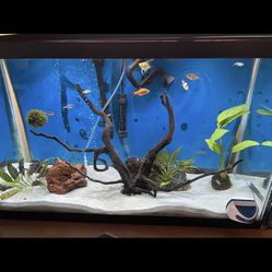 Fish Tank Aquarium Includes Water Filter