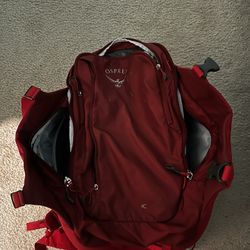 Osprey Travel On Back