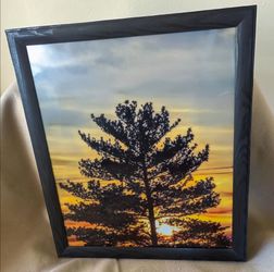 Landscape Tree  Sunset Framed Photograph