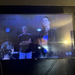 49 Inch TCL Roku Smart Tv (Flickers On White Screens) 