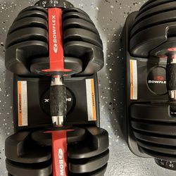 Bowflex - Adjustable Dumbell Weight
