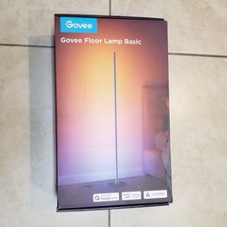 Govee Floor Lamp Basic 