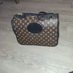 Louis vuitton dog bag