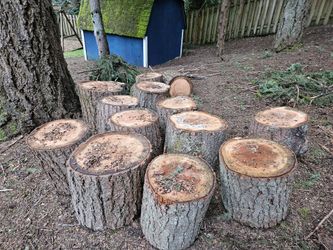 Wood For Firewood From 15" Douglas Fir Tree