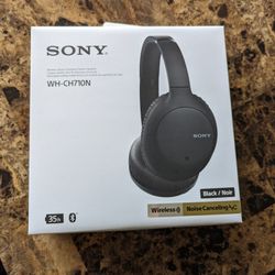 Sony WH-CH710N