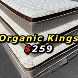 King Organic Cloud Edition Europillow Top 12inch Matres!!