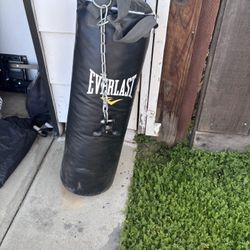 Punching Bag