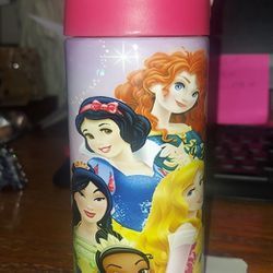 Disney Princesses  12oz Stainless Steel Sippy Cups 