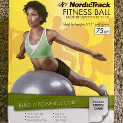 NEW NordicTrack Fitness Ball 