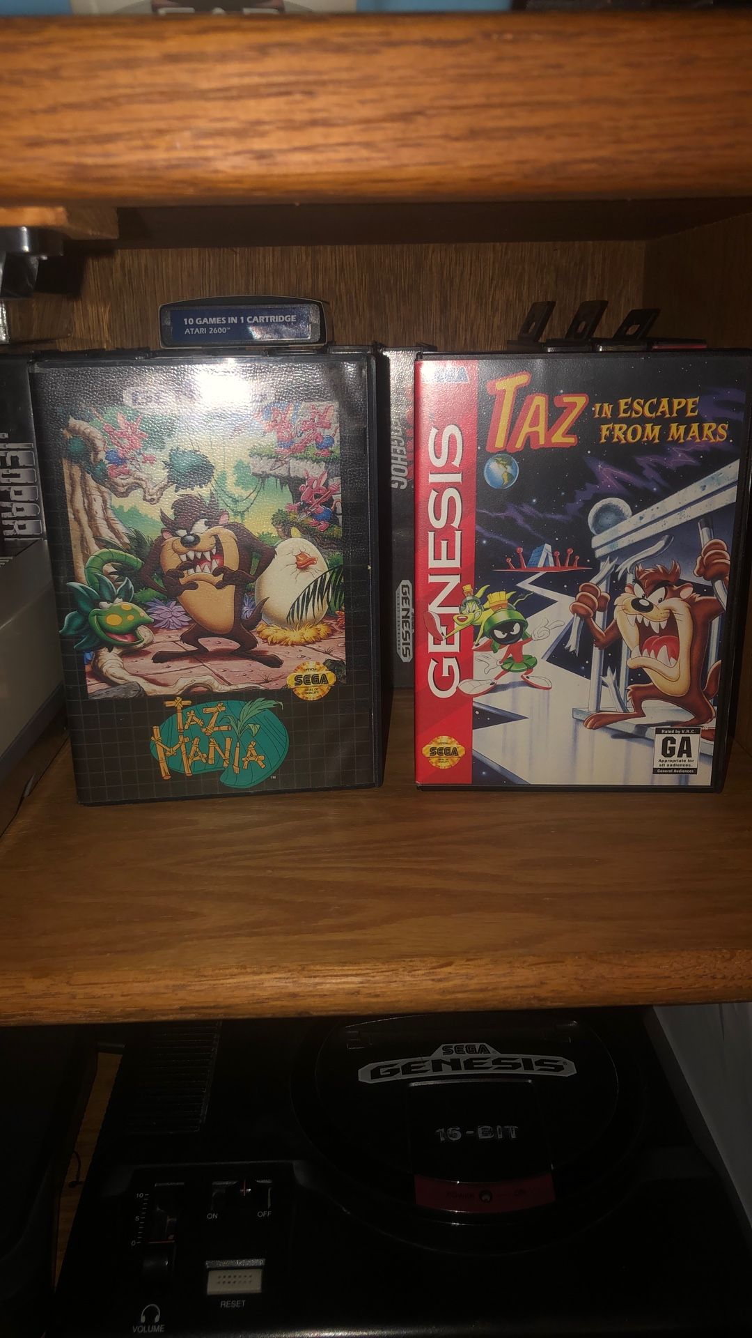 Taz Games For Sega