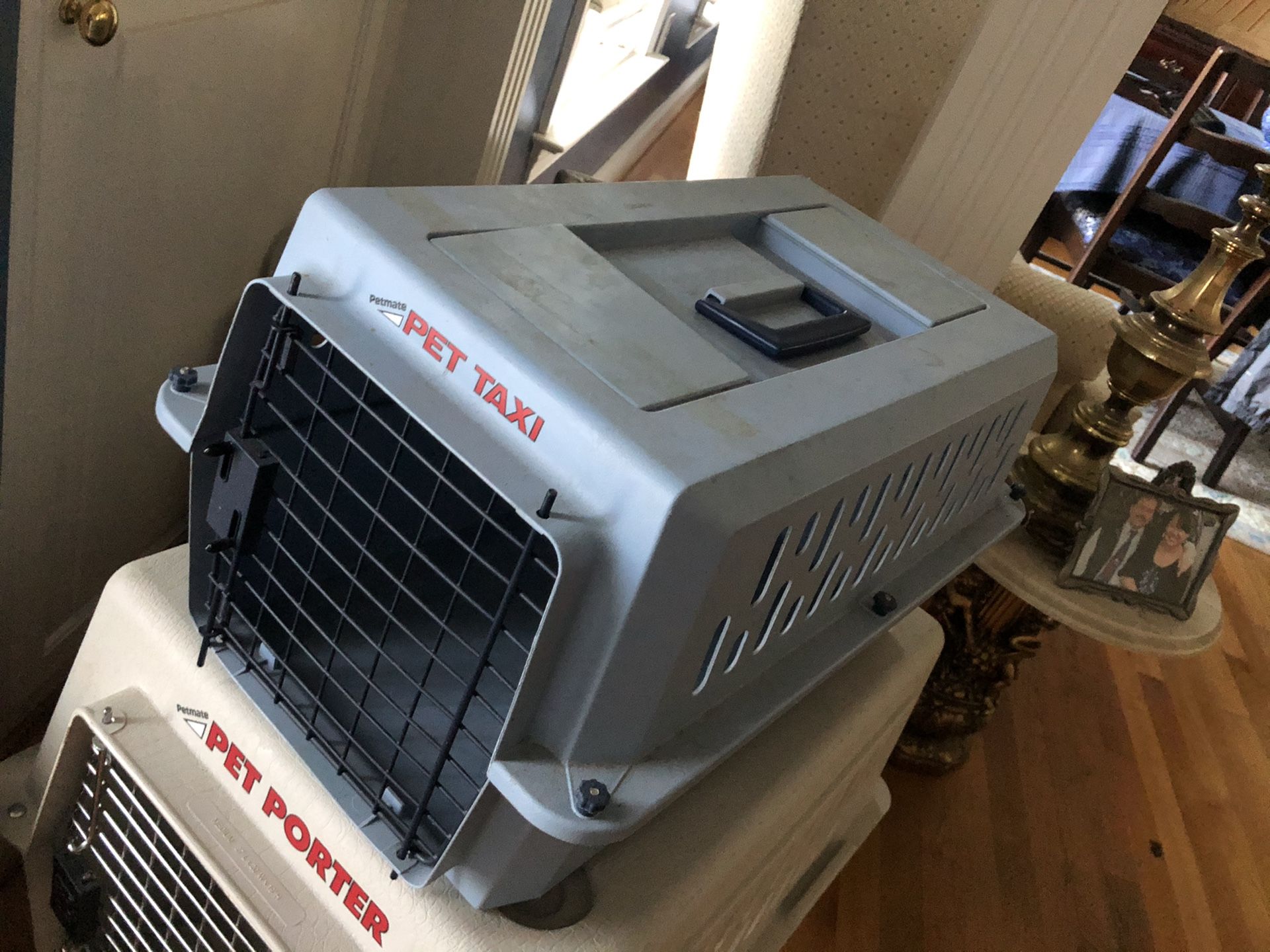 pet taxi small dog carrier