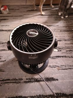 Dreo Table Fan