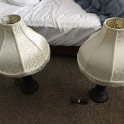 Lamp shade pair