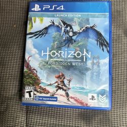 PS4 Game Horizon