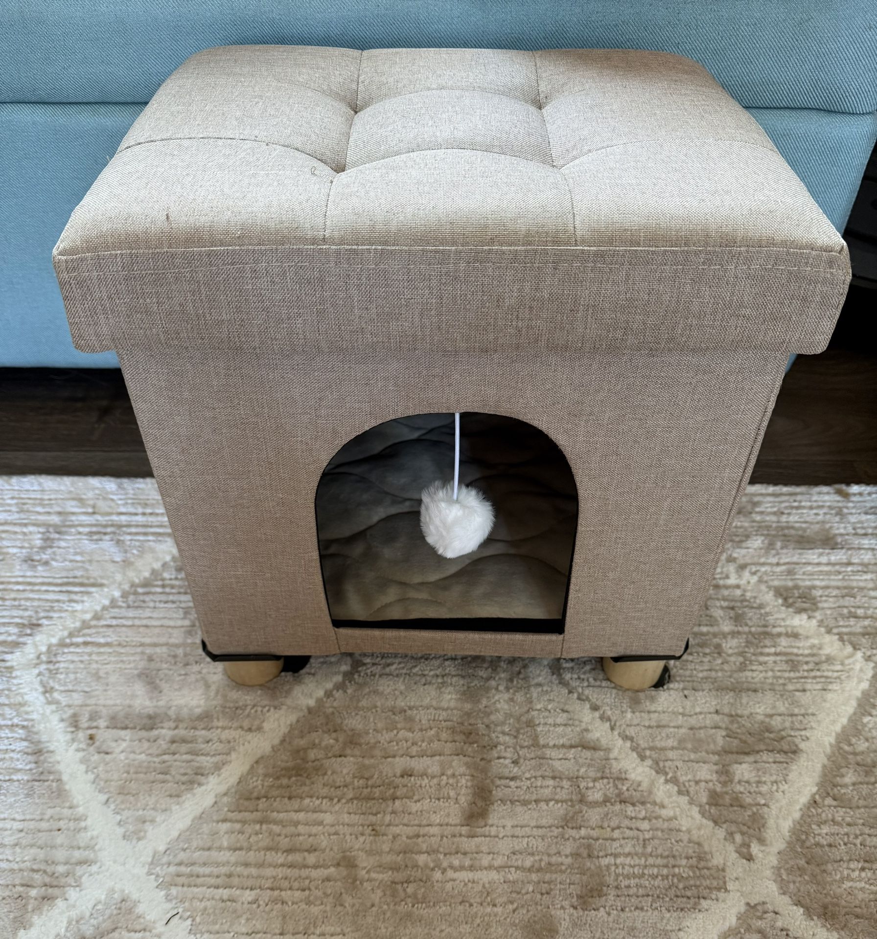 New Cat House