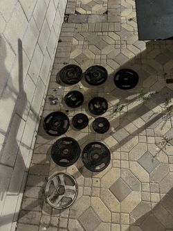 Golds Gym Plates