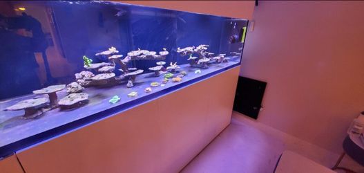FRIDAY LAST DAY Waterbox Reef LX 320 full setup