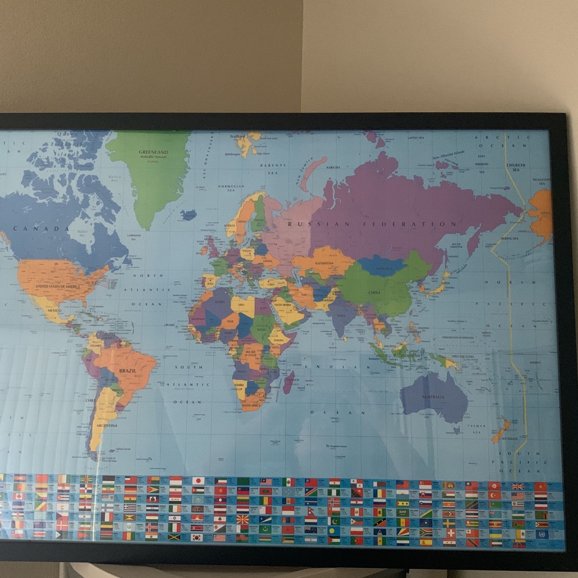 Map of the World + Flags (framed)