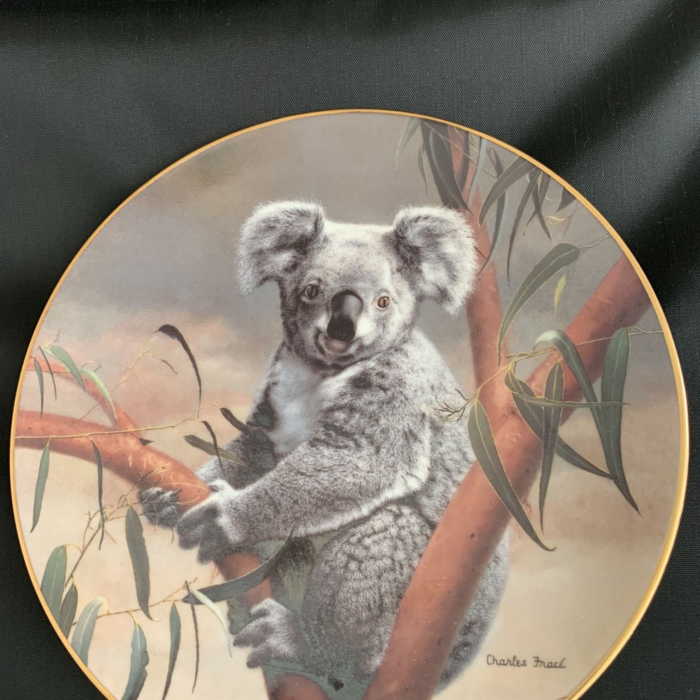 Koala Collectors Plate