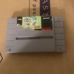 Super Nintendo Snes Tiny Toons Buster Bust Loose 