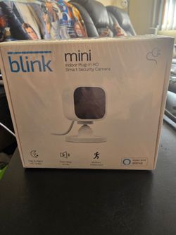 Blink Mini (brand new)