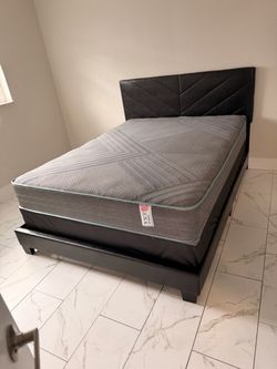 Queen mattress regular set with box spring ( 2pc brand new)