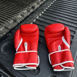 Fila boxing gloves