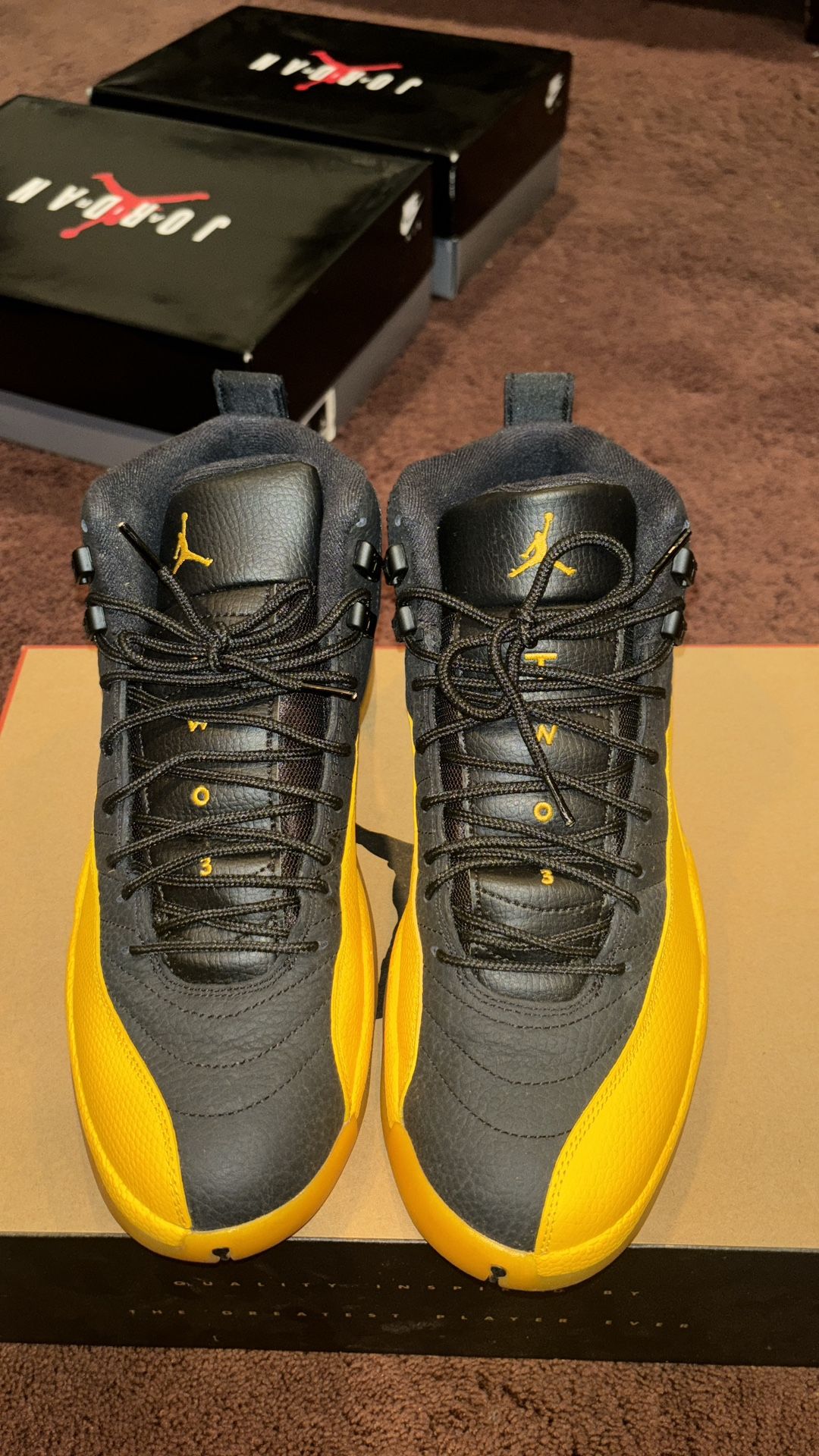 air jordan 12 retro black university gold