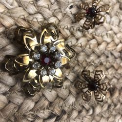 Earrings &pin Set