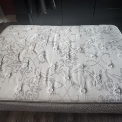 Full Mattress 