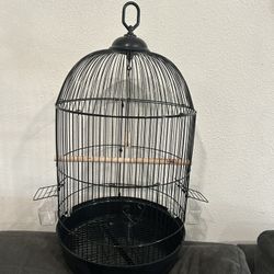 Black Bird Cage 
