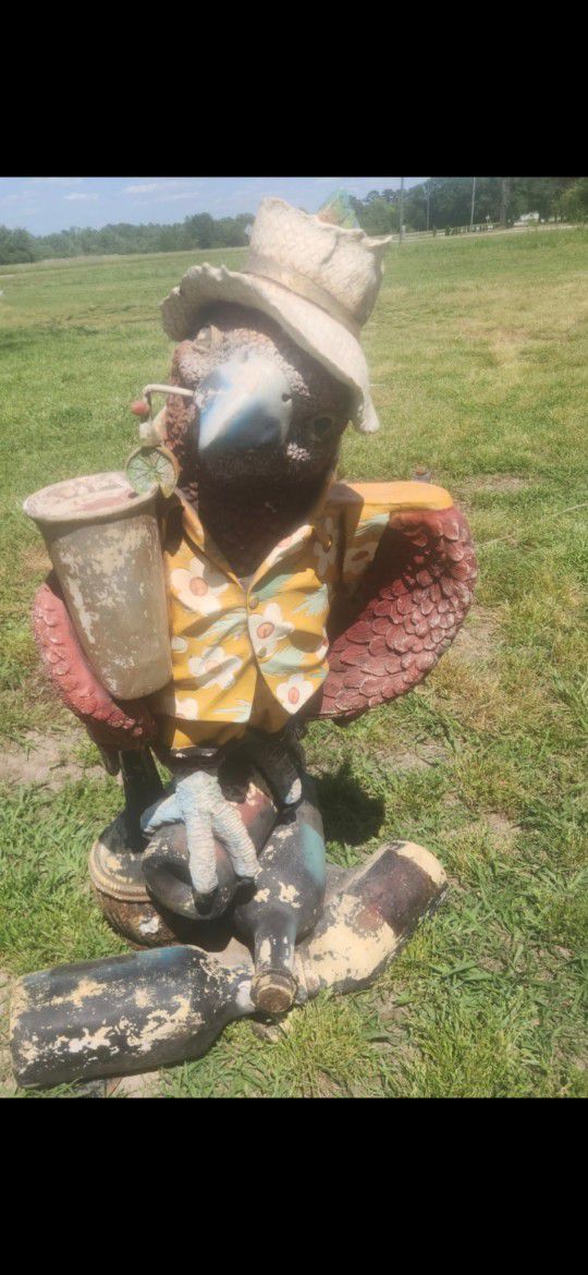 Large Parrot Drinking ..wearing Beach Clothes 