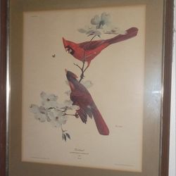 Ray Harm Original Frame And Photo From 1963. Rare And Vintage 