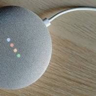 Google Net Mini