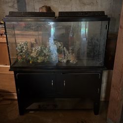 65 Gallon Tall Aquarium Fish Tank And Stand