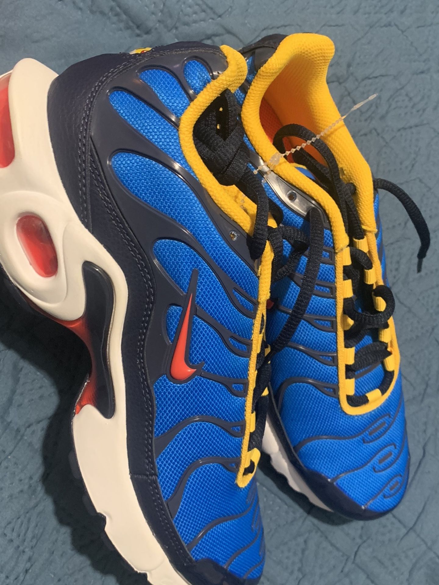 Nike Airmax Plus Shoes